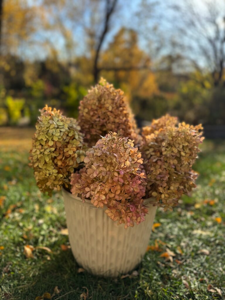 dried hydrangeas floral arrangement