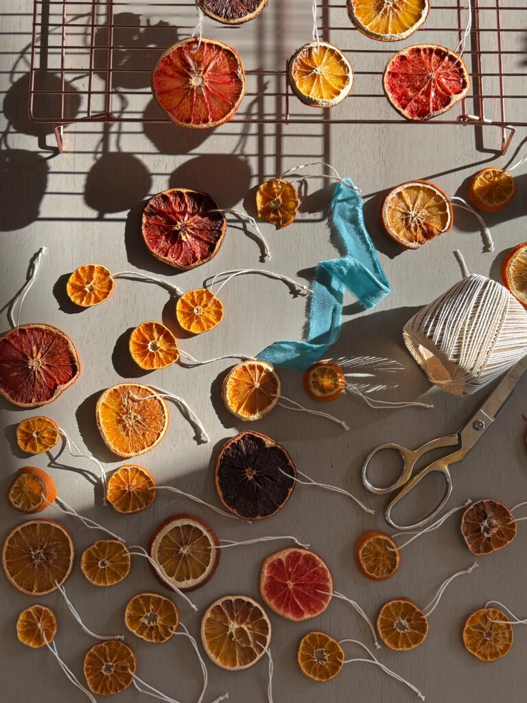 DIY dried citrus slice ornaments made by stir and gather
