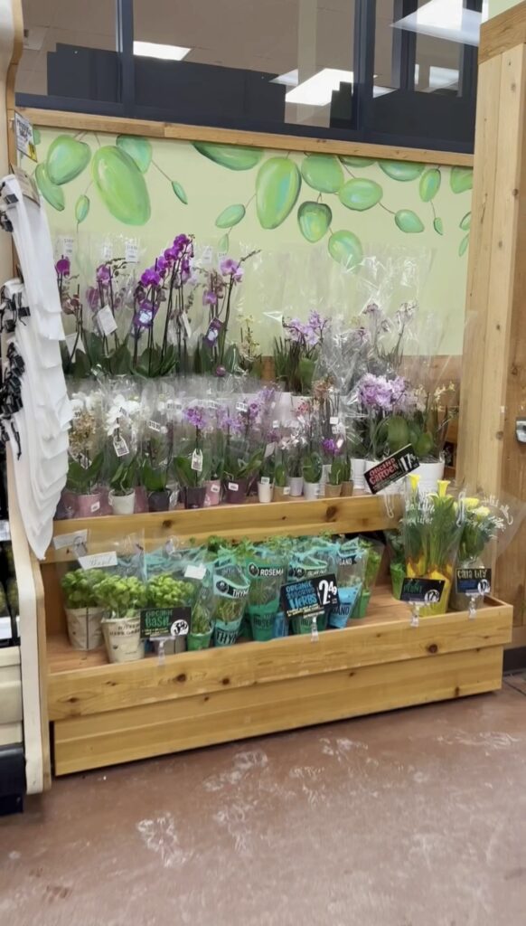 stir and gather shopping for fresh herbs at Trader Joe's
