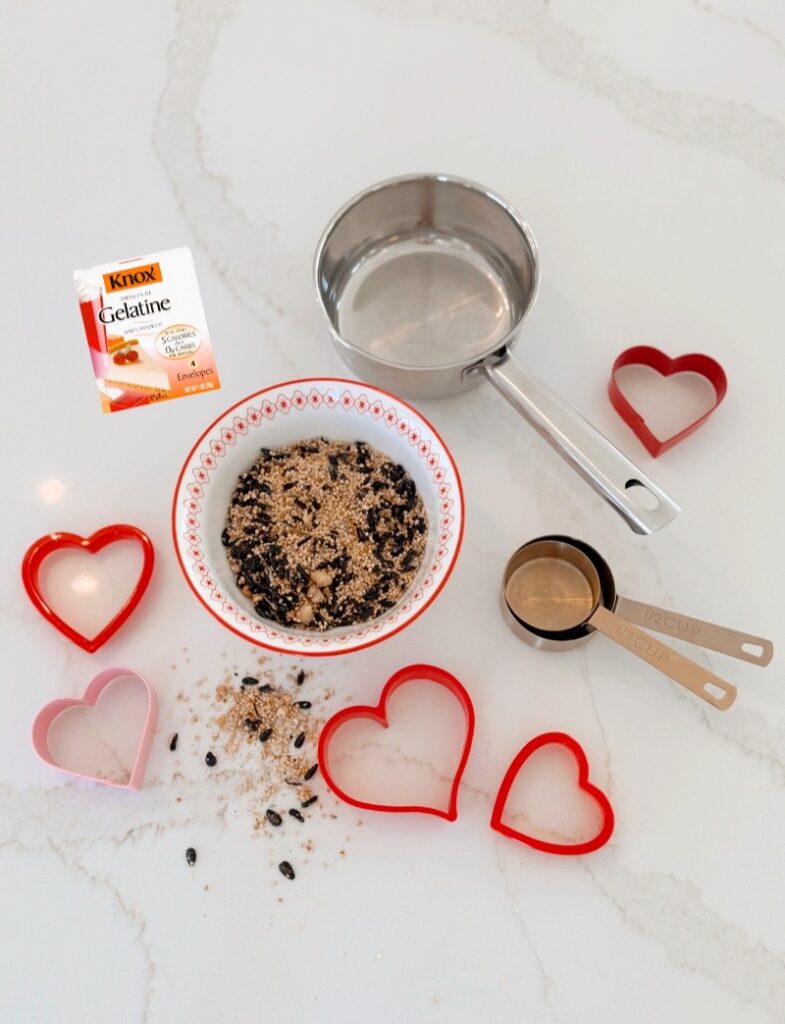 stir and gather DIY heart shaped bird feeders with gelatin