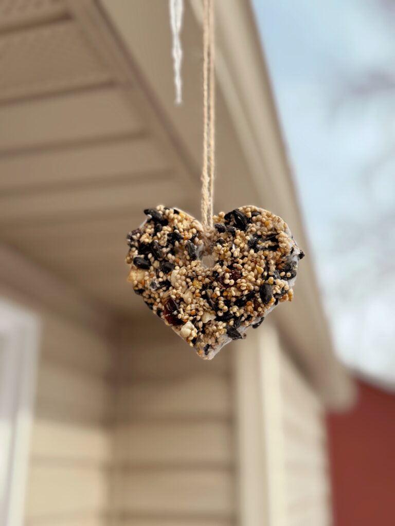 stir and gather Valentine winter bird seed craft